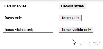 demo-focus-visible-after-click