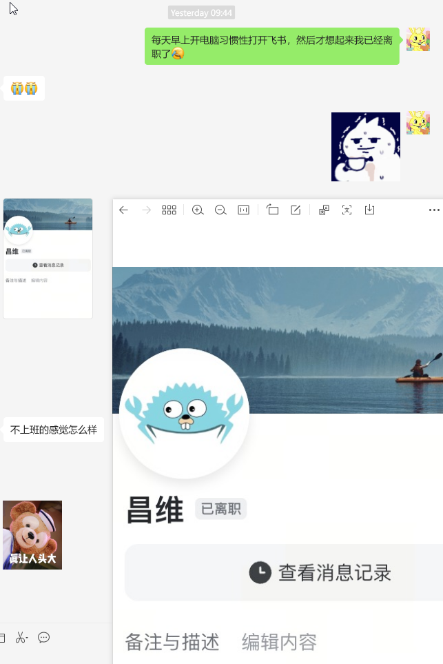 关于我的第一份实习工作 正文图片 1
