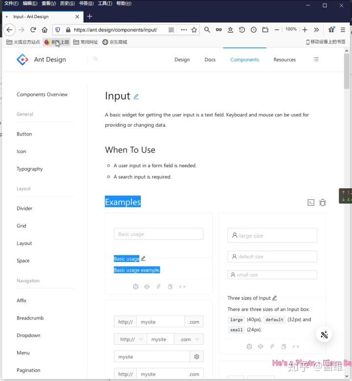 Input placeholder is not selectable on Firefox